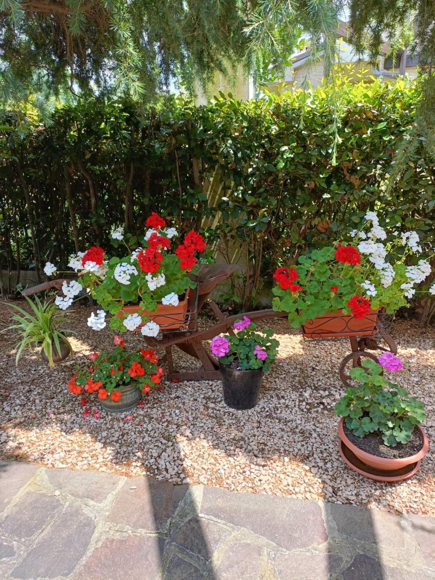 Recanati Family Exterior photo